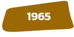 1965